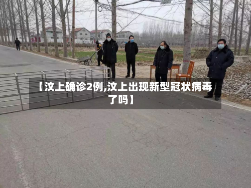 【汶上确诊2例,汶上出现新型冠状病毒了吗】-第3张图片