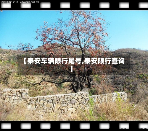 【泰安车辆限行尾号,泰安限行查询】-第2张图片