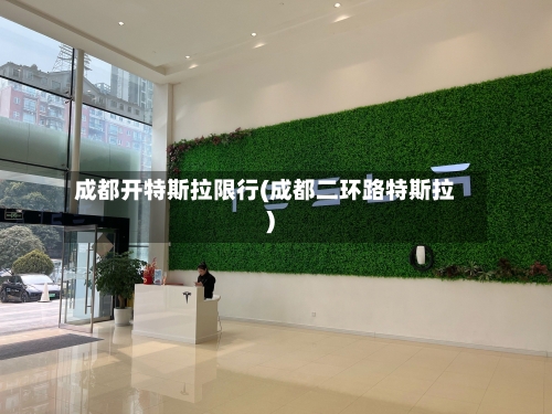 成都开特斯拉限行(成都二环路特斯拉)-第2张图片