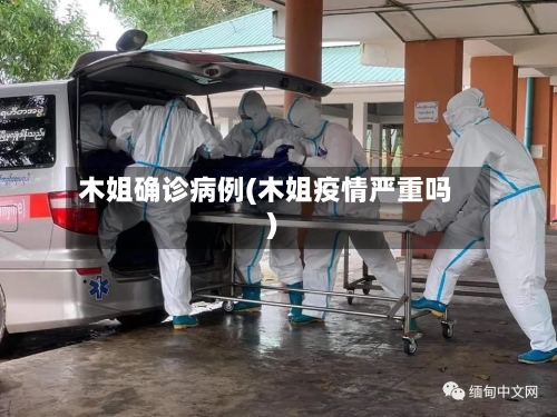 木姐确诊病例(木姐疫情严重吗)-第3张图片