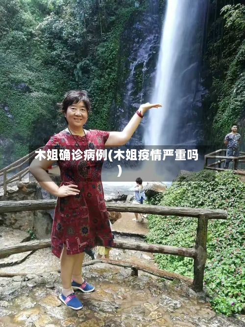 木姐确诊病例(木姐疫情严重吗)-第2张图片