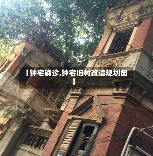 【钟宅确诊,钟宅旧村改造规划图】