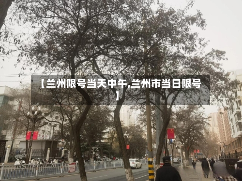 【兰州限号当天中午,兰州市当日限号】-第2张图片