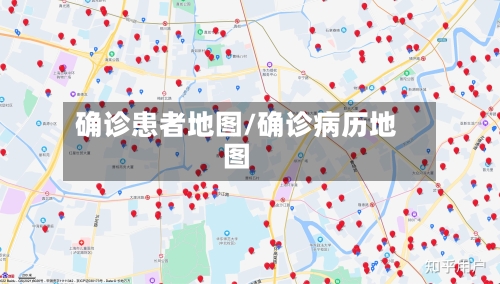 确诊患者地图/确诊病历地图-第2张图片