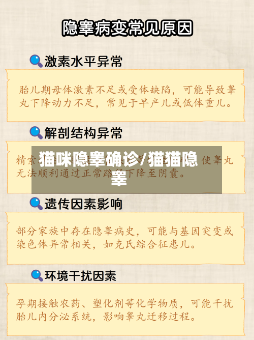 猫咪隐睾确诊/猫猫隐睾-第2张图片