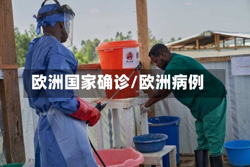 欧洲国家确诊/欧洲病例-第2张图片