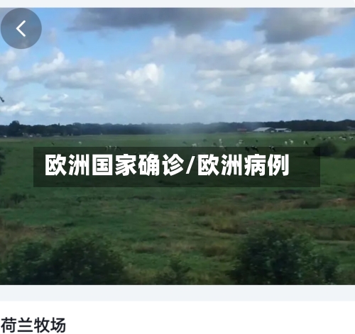 欧洲国家确诊/欧洲病例