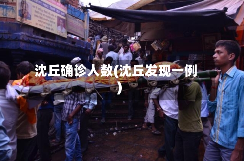 沈丘确诊人数(沈丘发现一例)-第3张图片