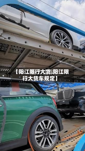 【阳江限行大货,阳江限行大货车规定】