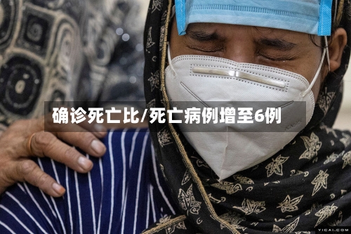 确诊死亡比/死亡病例增至6例