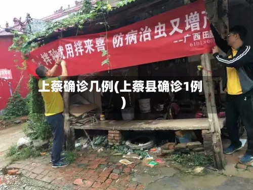 上蔡确诊几例(上蔡县确诊1例)-第3张图片