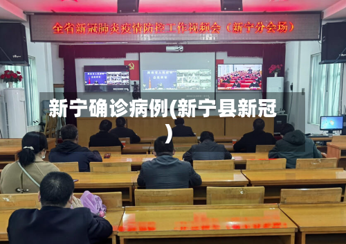 新宁确诊病例(新宁县新冠)