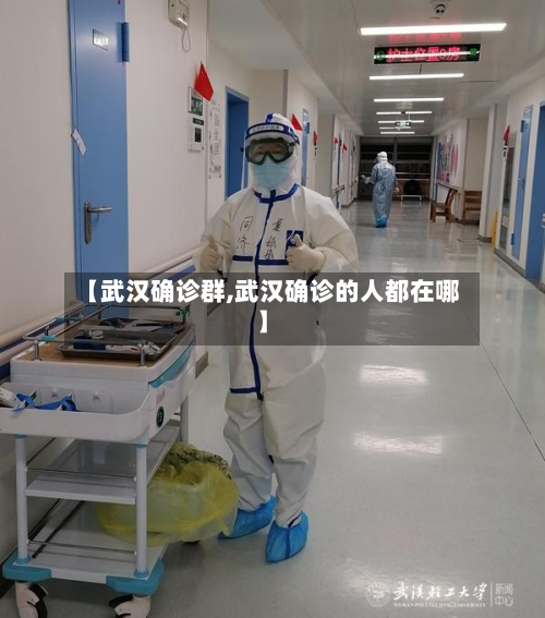 【武汉确诊群,武汉确诊的人都在哪】-第3张图片