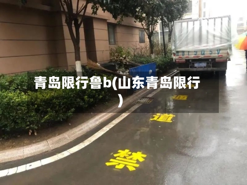 青岛限行鲁b(山东青岛限行)-第2张图片