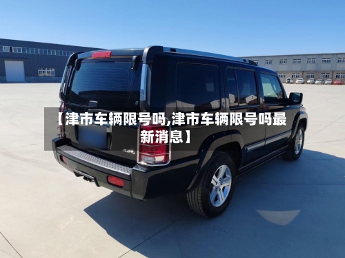 【津市车辆限号吗,津市车辆限号吗最新消息】-第3张图片