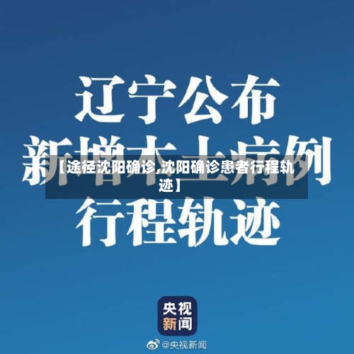 【途径沈阳确诊,沈阳确诊患者行程轨迹】
