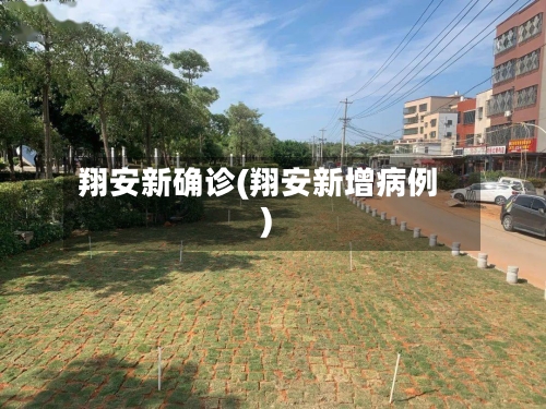 翔安新确诊(翔安新增病例)