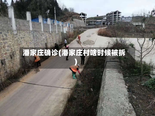 潘家庄确诊(潘家庄村啥时候被拆)-第3张图片