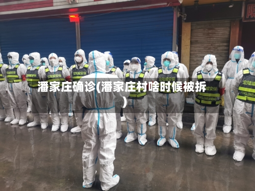 潘家庄确诊(潘家庄村啥时候被拆)-第2张图片