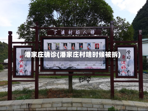 潘家庄确诊(潘家庄村啥时候被拆)