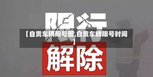 【自贡车辆限号图,自贡车牌限号时间】-第2张图片