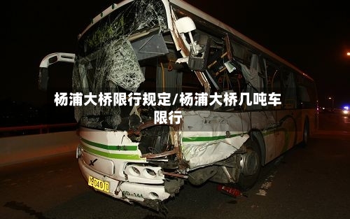 杨浦大桥限行规定/杨浦大桥几吨车限行