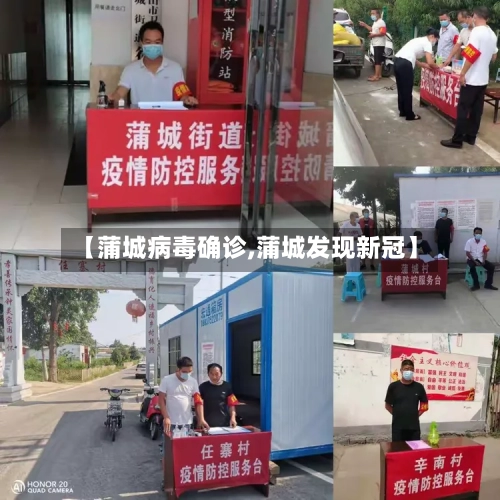 【蒲城病毒确诊,蒲城发现新冠】-第2张图片
