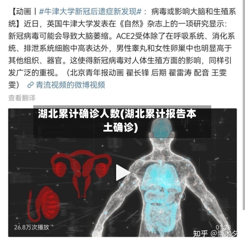 湖北累计确诊人数(湖北累计报告本土确诊)