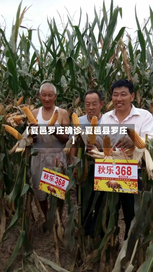 【夏邑罗庄确诊,夏邑县罗庄】
