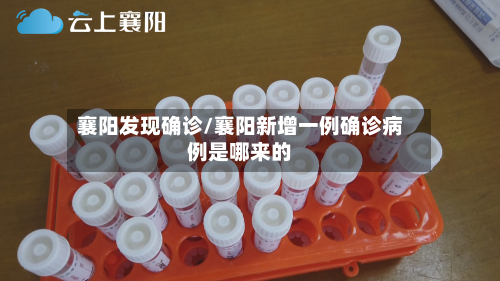 襄阳发现确诊/襄阳新增一例确诊病例是哪来的-第3张图片