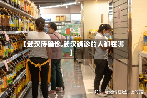 【武汉待确诊,武汉确诊的人都在哪】
