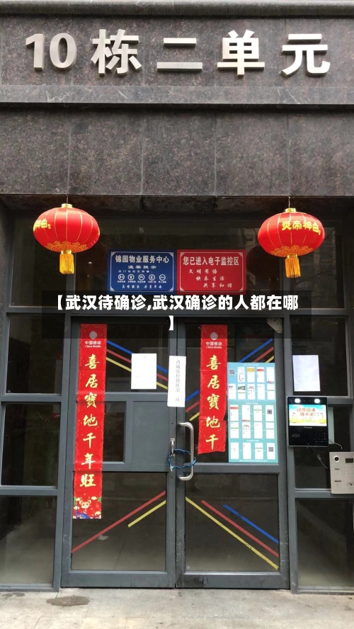 【武汉待确诊,武汉确诊的人都在哪】-第2张图片