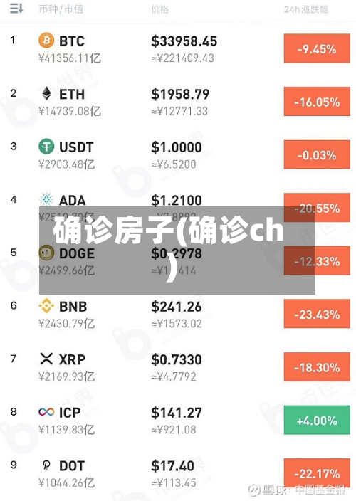 确诊房子(确诊ch)