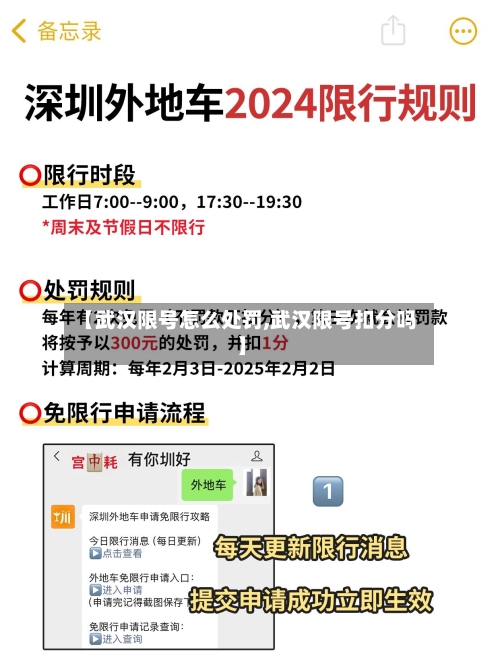 【武汉限号怎么处罚,武汉限号扣分吗】-第3张图片