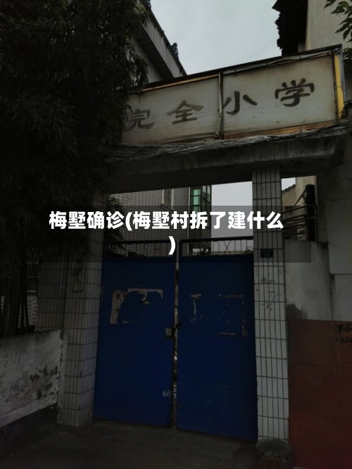 梅墅确诊(梅墅村拆了建什么)