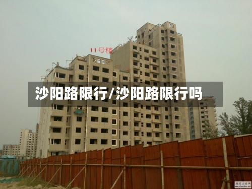 沙阳路限行/沙阳路限行吗-第2张图片