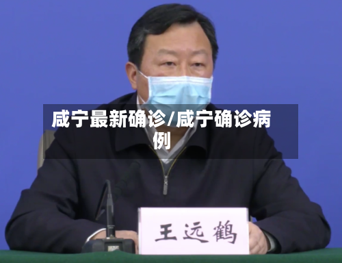 咸宁最新确诊/咸宁确诊病例