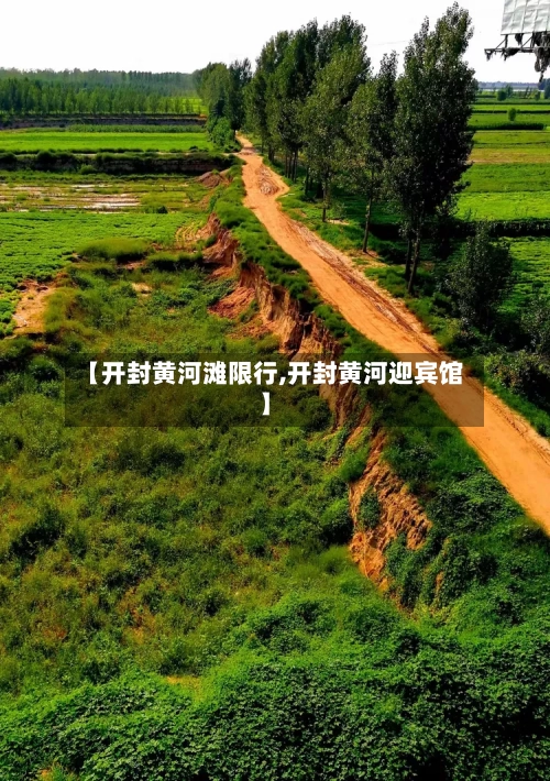 【开封黄河滩限行,开封黄河迎宾馆】-第3张图片