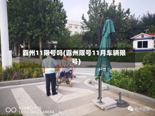 霸州11限号吗(霸州限号11月车辆限号)-第2张图片
