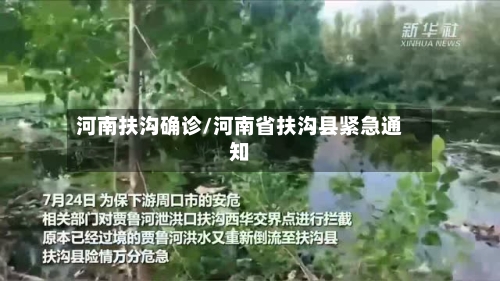 河南扶沟确诊/河南省扶沟县紧急通知