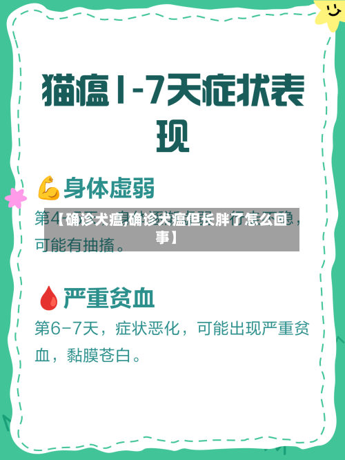【确诊犬瘟,确诊犬瘟但长胖了怎么回事】