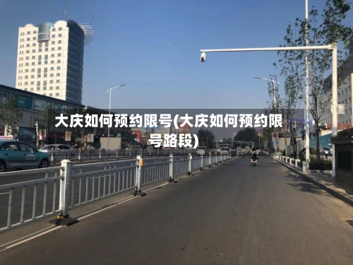 大庆如何预约限号(大庆如何预约限号路段)