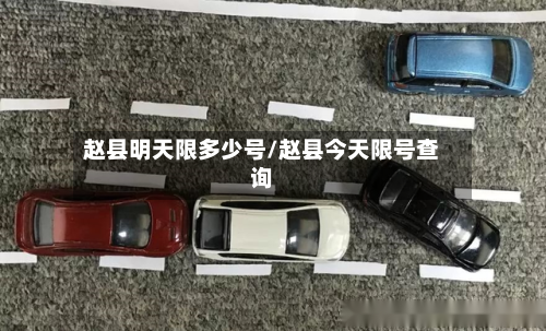 赵县明天限多少号/赵县今天限号查询-第2张图片