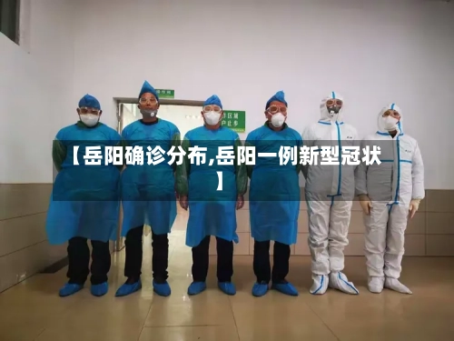 【岳阳确诊分布,岳阳一例新型冠状】-第3张图片