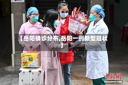 【岳阳确诊分布,岳阳一例新型冠状】