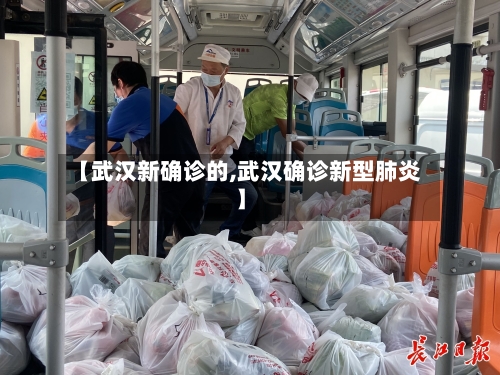 【武汉新确诊的,武汉确诊新型肺炎】