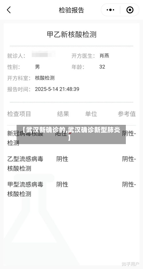 【武汉新确诊的,武汉确诊新型肺炎】-第2张图片