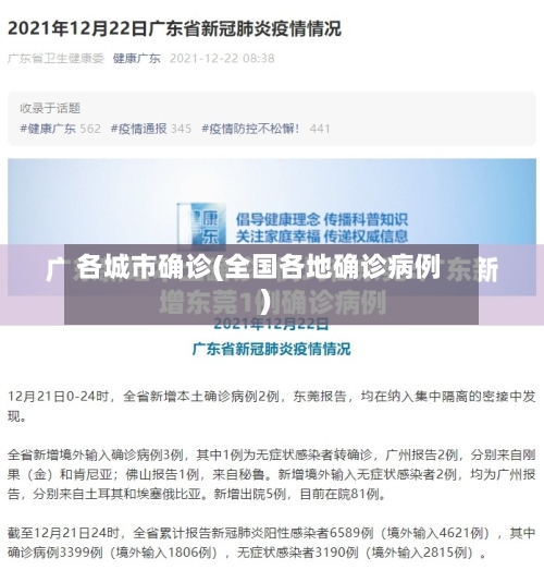 各城市确诊(全国各地确诊病例)