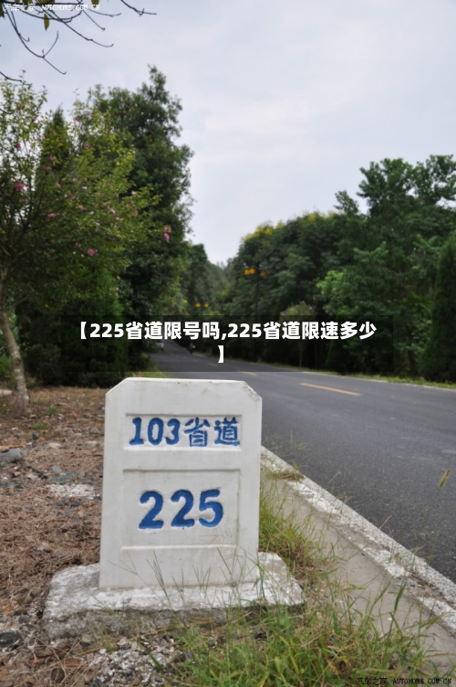 【225省道限号吗,225省道限速多少】-第2张图片