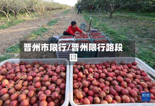 晋州市限行/晋州限行路段图-第2张图片